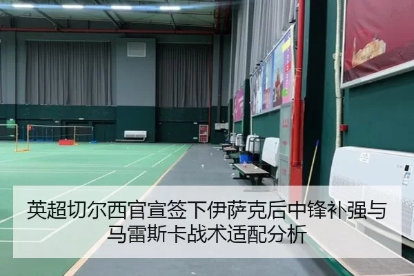 英超切尔西官宣签下伊萨克后中锋补强与马雷斯卡战术适配分析