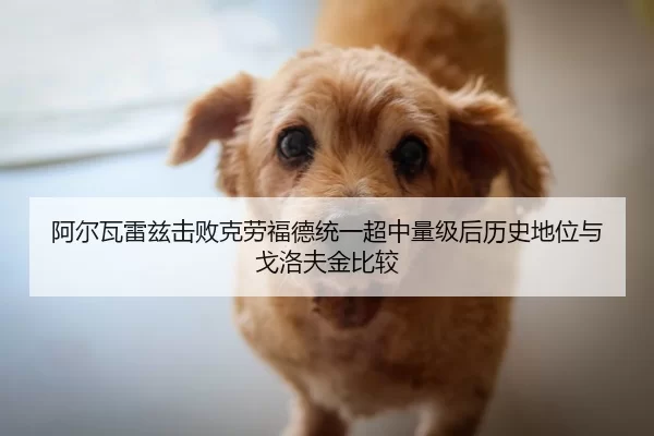 阿尔瓦雷兹击败克劳福德统一超中量级后历史地位与戈洛夫金比较